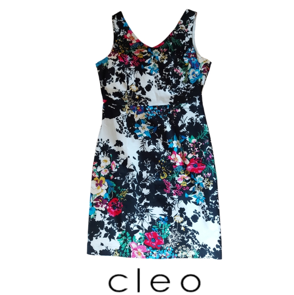 Cleo Petites V Neck Floral Dress